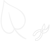 배경이미지